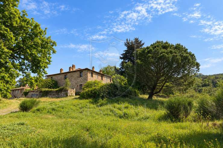 Montalcino - 7 - 520 mq - € 370.000,00