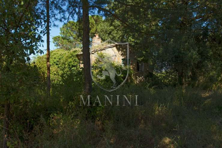 San Casciano dei Bagni - 6 - 590 mq - € 230.000,00