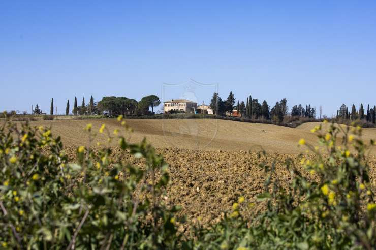 Buonconvento - 12 - 1200 mq - € 1.190.000,00